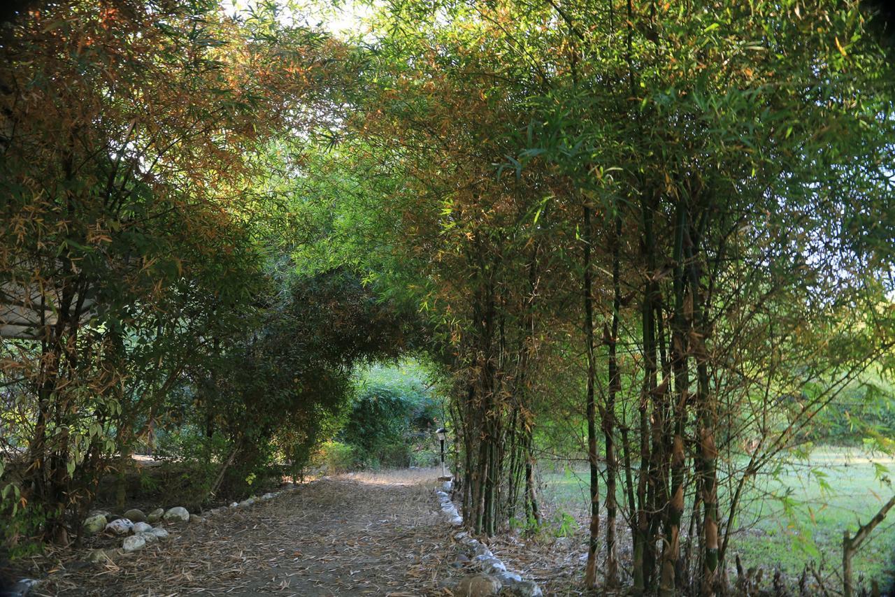 Parwati Wild Abode Corbett Resort Dhela Exterior photo